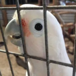 10714445_10203573140270644_4970897897450116946_o