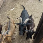 5607a9b605f68b8148ec73b252956ecb3486b521